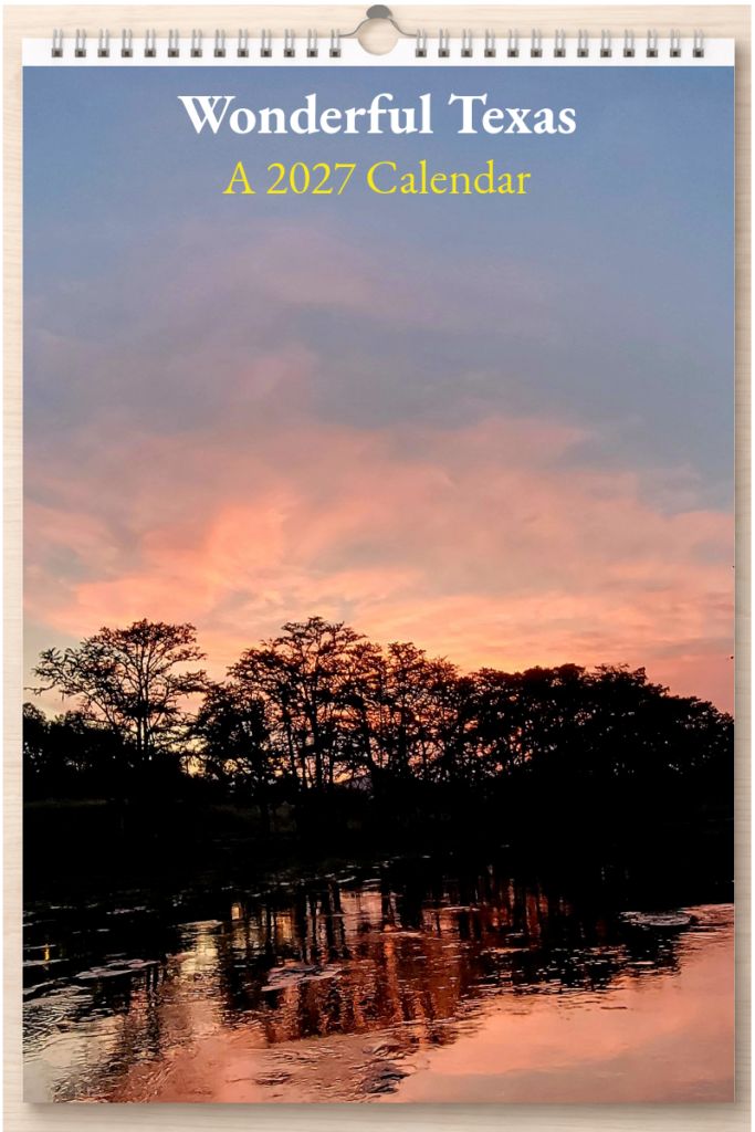 Wonderful Texas: A 2027 Calendar – Silent Spark Press